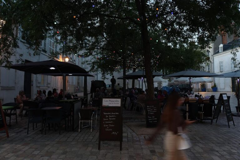Restaurant Les Pissenlits par la Racine à Orléans, France — photo 1