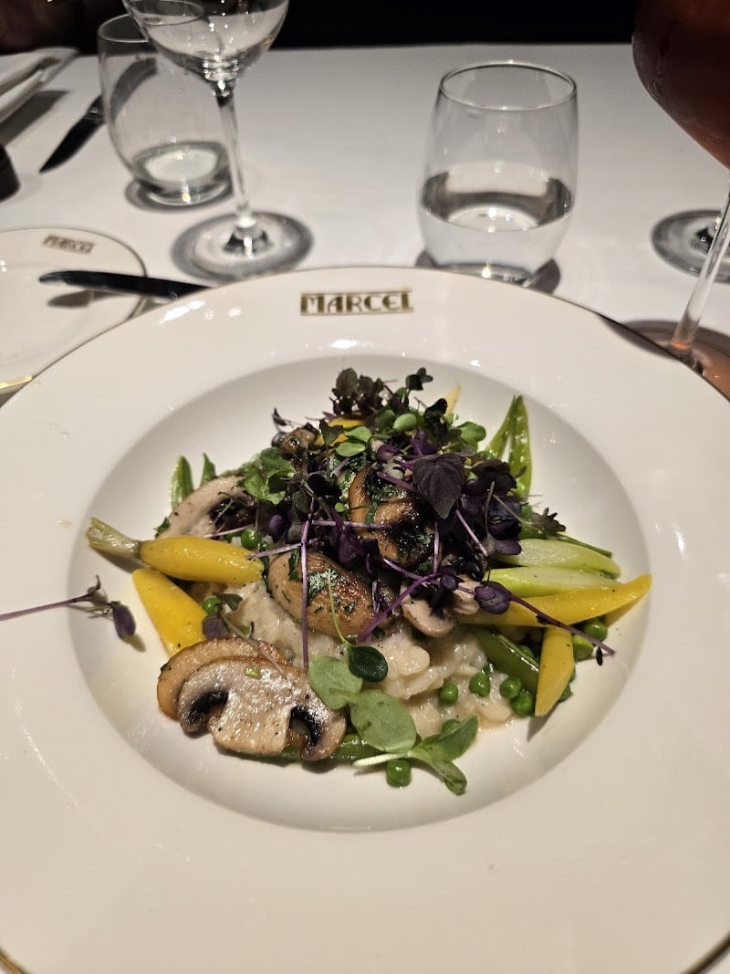 Restaurant Marcel à Anvers, Belgique