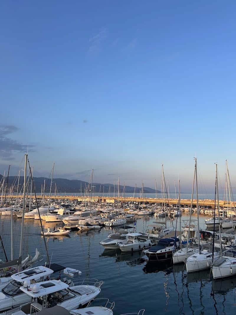 Mimosas sur le Toit – Restaurant & Rooftop à Bormes-les-Mimosas, France