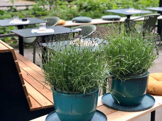 Restaurant Nola à Anvers, Belgique