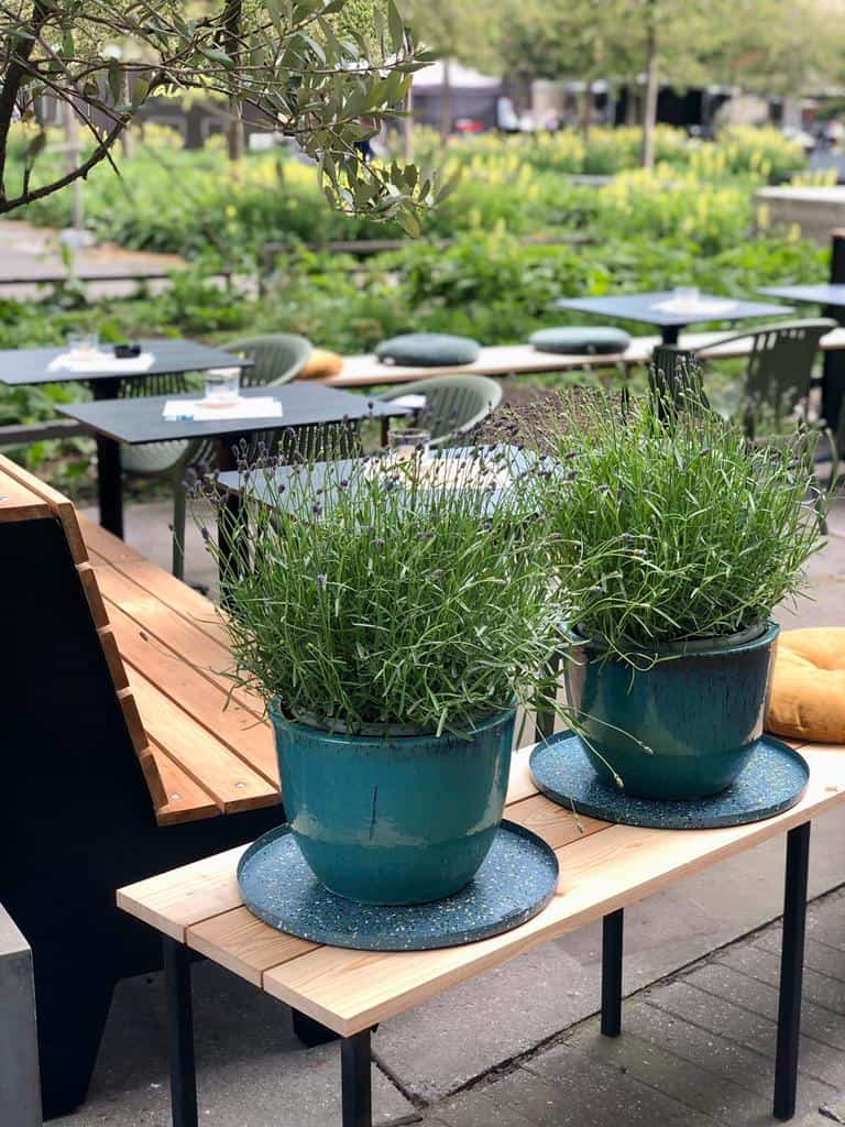 Restaurant Nola à Anvers, Belgique