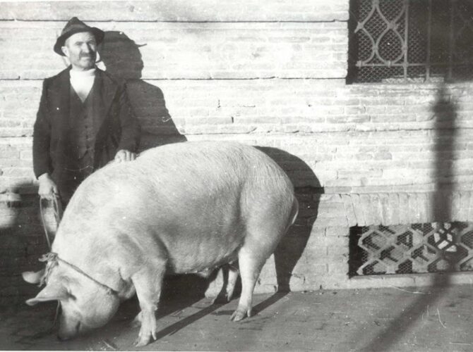 Restaurant Julia à Mechelen (Malines), Belgique