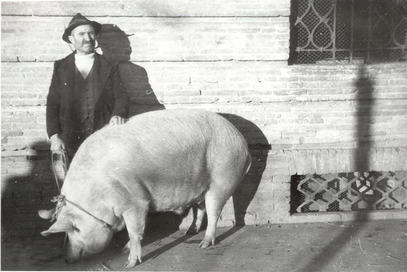 Restaurant Julia à Mechelen (Malines), Belgique