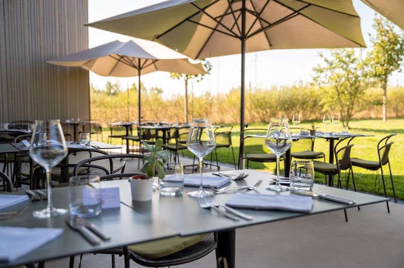 Restaurant Les Humanistes à Sélestat, France