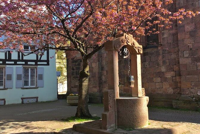 Restaurant Resto Bio L’Acoustic à Sélestat, France