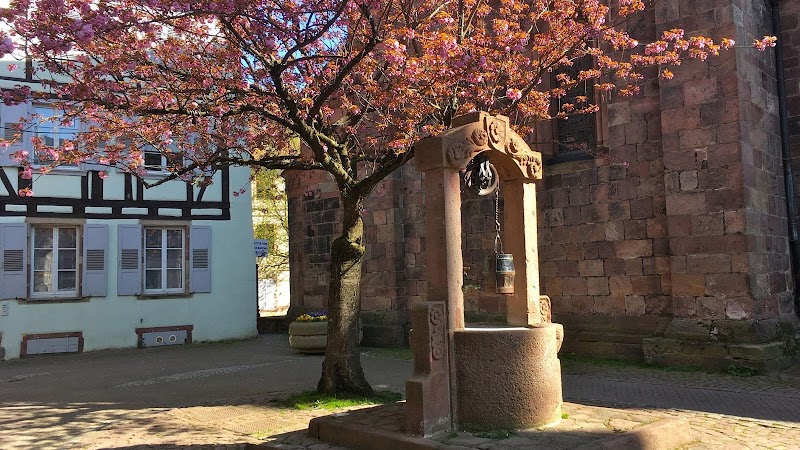 Restaurant Resto Bio L’Acoustic à Sélestat, France