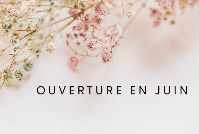 Restaurant Sushi Sakana à Plomeur, France