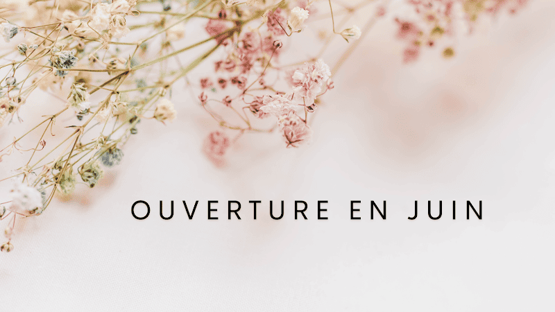 Restaurant Sushi Sakana à Plomeur, France