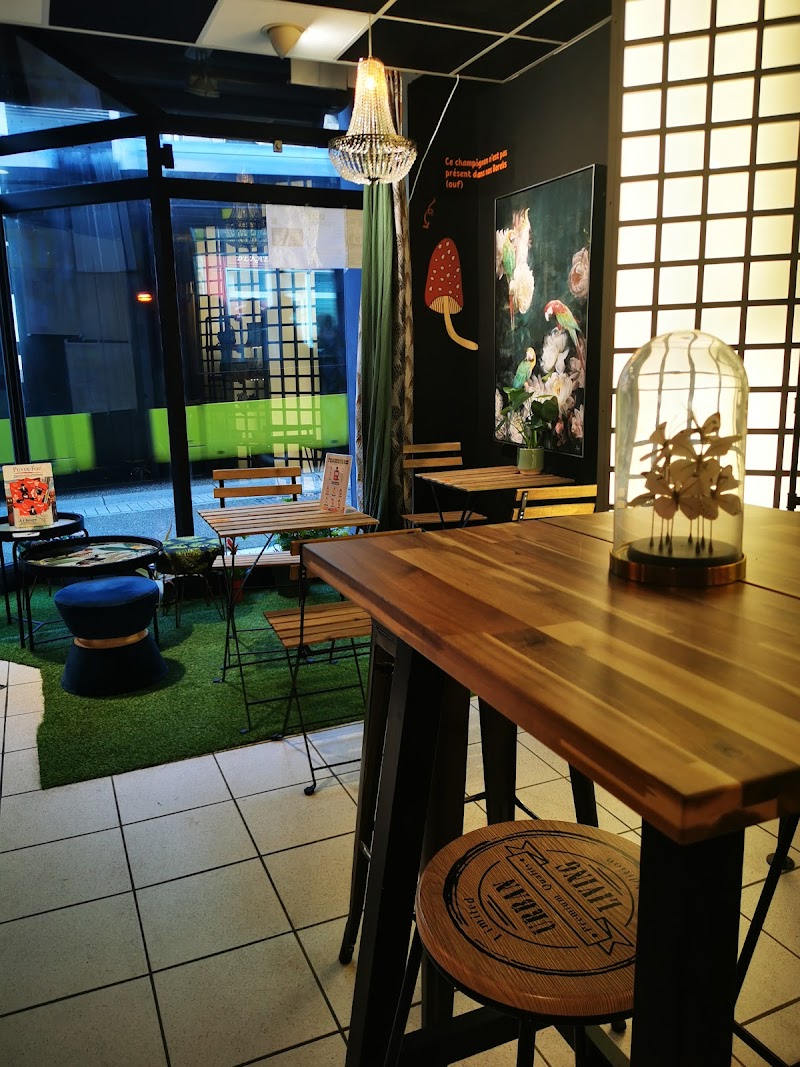 Restaurant BIOREK à Brest, France