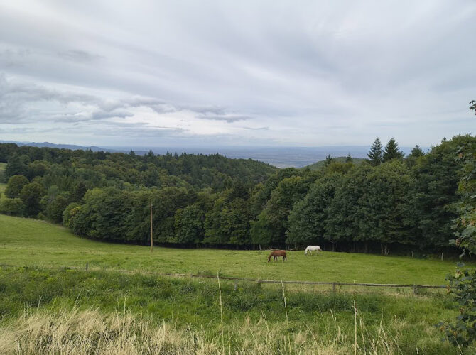 Restaurant Ferme Auberge du Molkenrain à Wattwiller, France