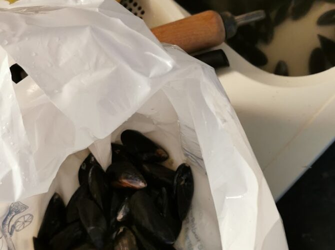 Restaurant Fish Halles à Reims, France