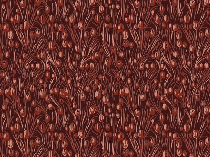 Restaurant Il Grande à Cannes, France