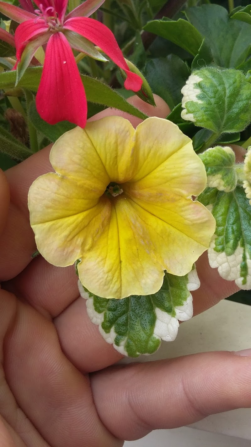 Restaurant La Bouteille d’Or à Bezons, France