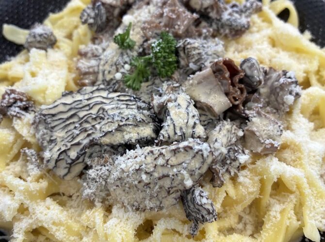 Restaurant La Grangette à Gap, France