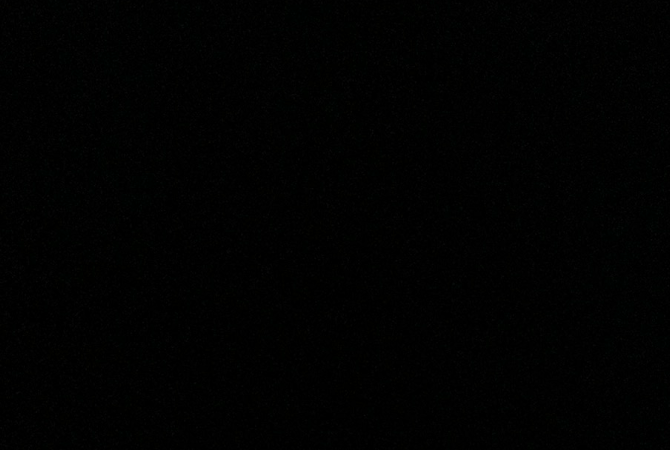 Restaurant La Grenouille Verte à Drusenheim, France