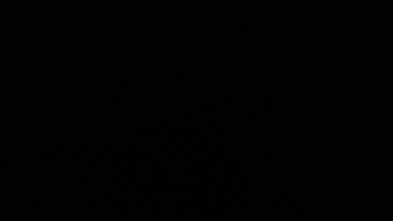 Restaurant La Grenouille Verte à Drusenheim, France