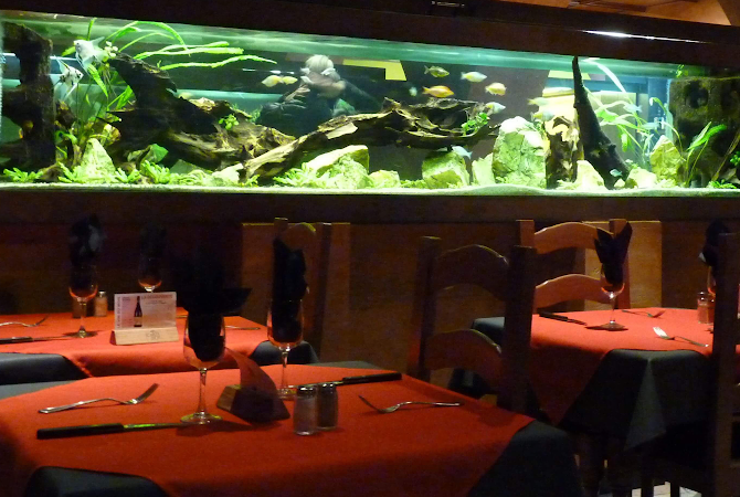 Restaurant Papa Lisa à Strasbourg, France