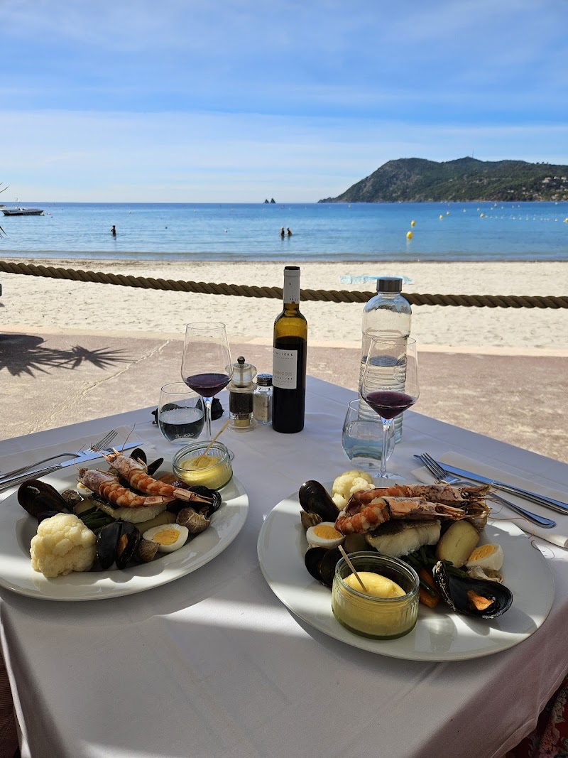 Restaurant Le Cannier à La Seyne-sur-Mer, France — photo 3