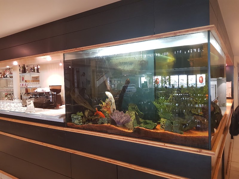 Restaurant Sakuraya Sushi à Toulouse, France