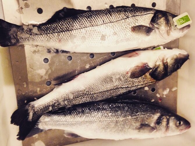 Restaurant Sumo Sushi Bar à Marseille, France