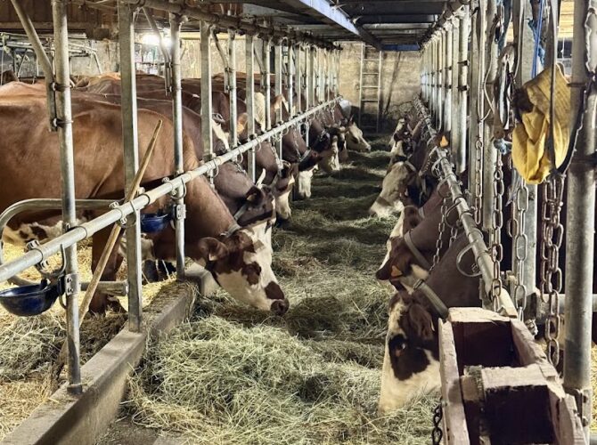 Restaurant La Ferme de la Charbonnière à Menthon-Saint-Bernard, France