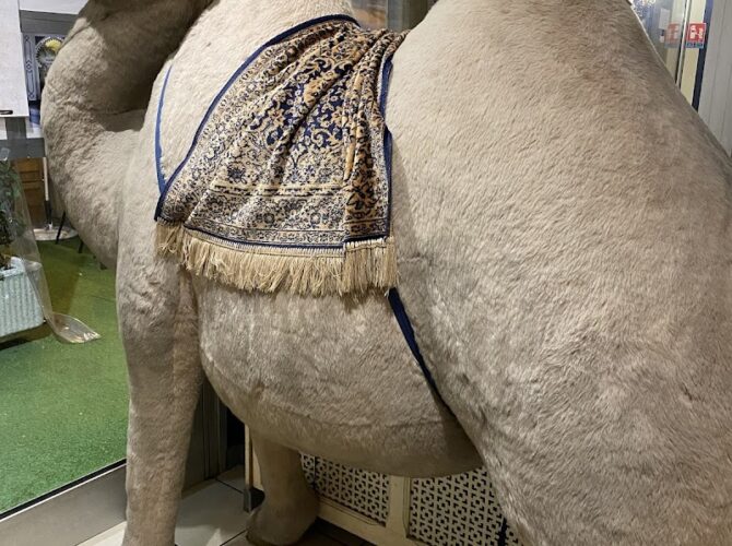 Restaurant LE DJERBA à Viry-Châtillon, France