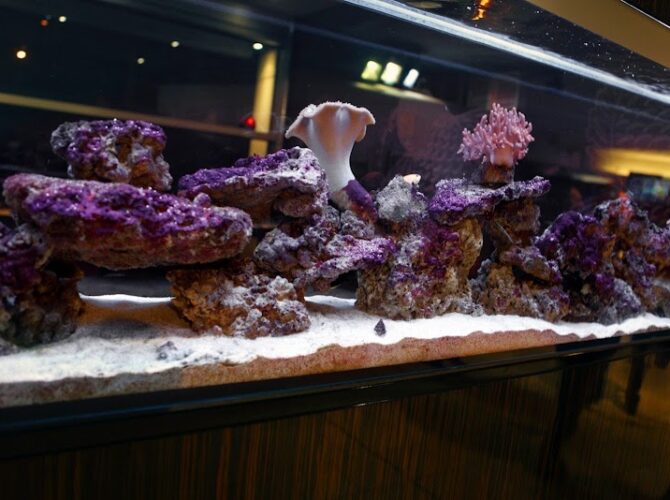 Restaurant Nemo’s à Luxembourg (Ville), Luxembourg