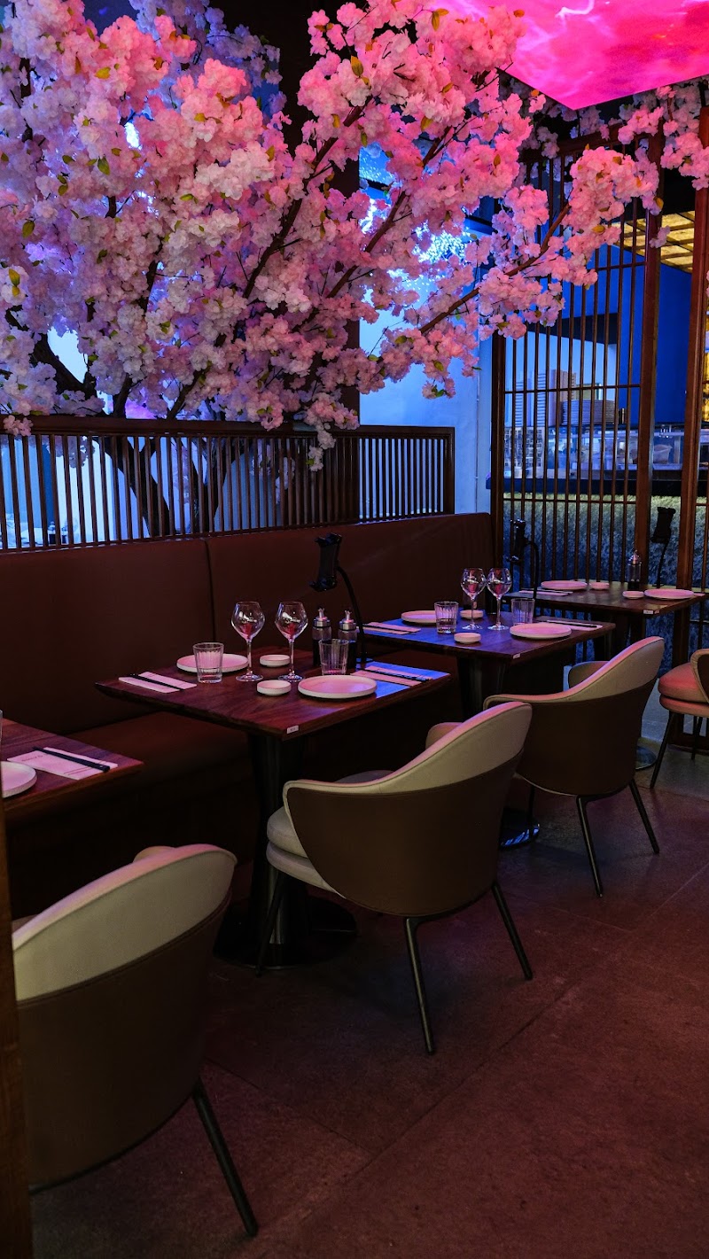 Restaurant Shiyo – Grand Hôtel-Dieu à Lyon, France