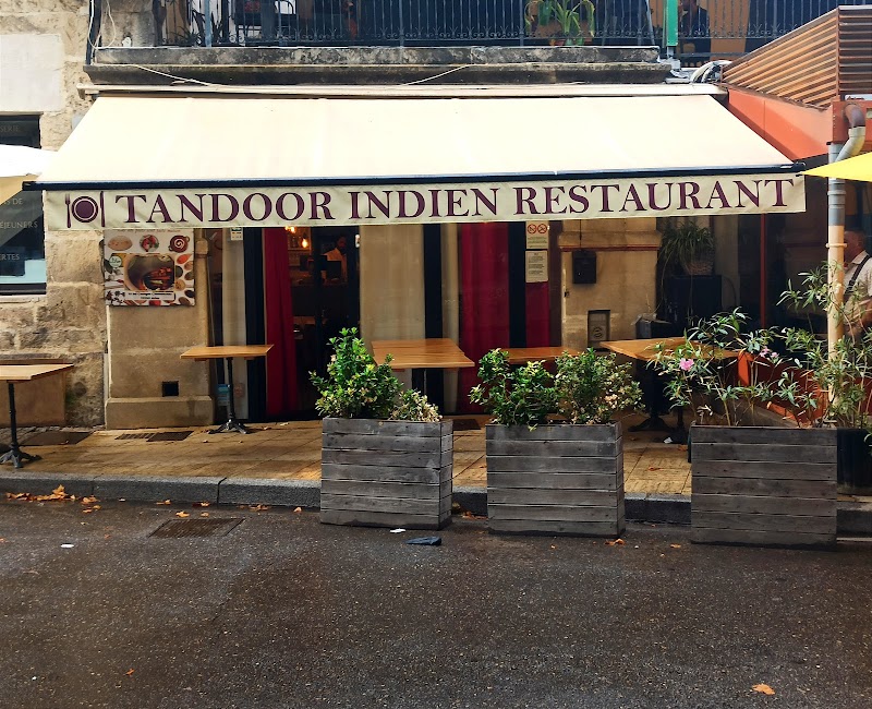 Tandoor Indien Restaurant — photo 2