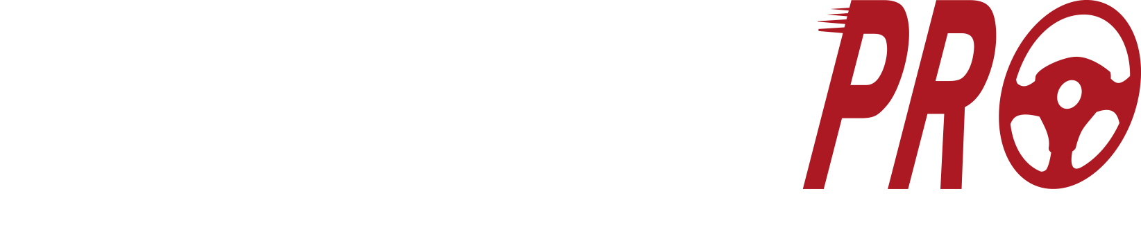 Test Driver Pro